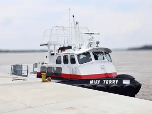 A small white and black tugboat named "Miss Terry" is docked at a concrete pier on a calm, cloudy day.